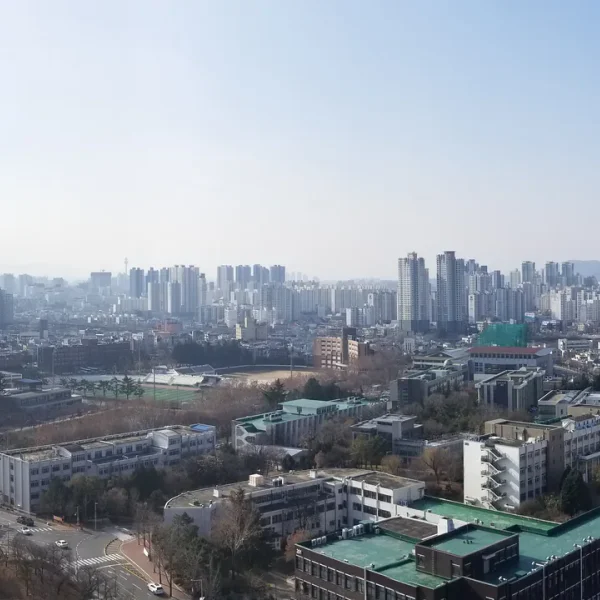로열 지효센터 마사지 안내 이미지
